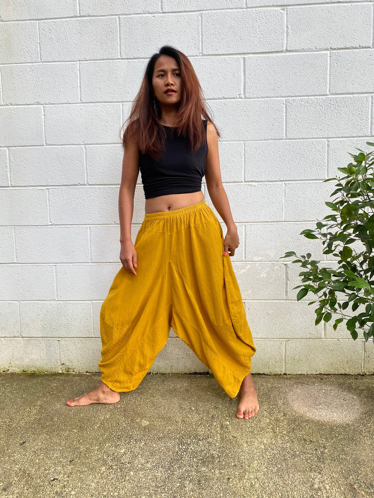 Daisy Cotton Harem Pants in Turmeric