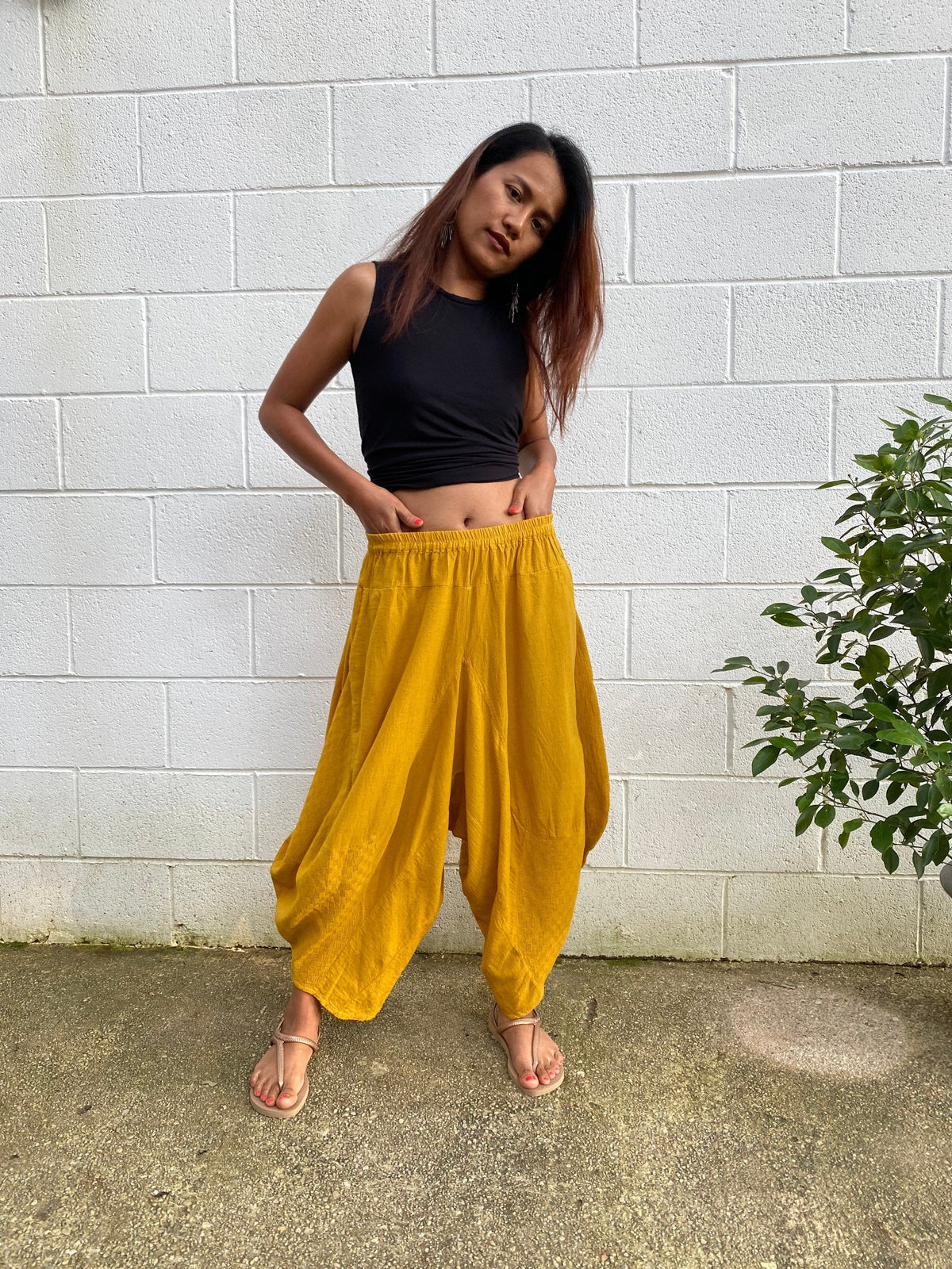 Daisy Cotton Harem Pants in Turmeric